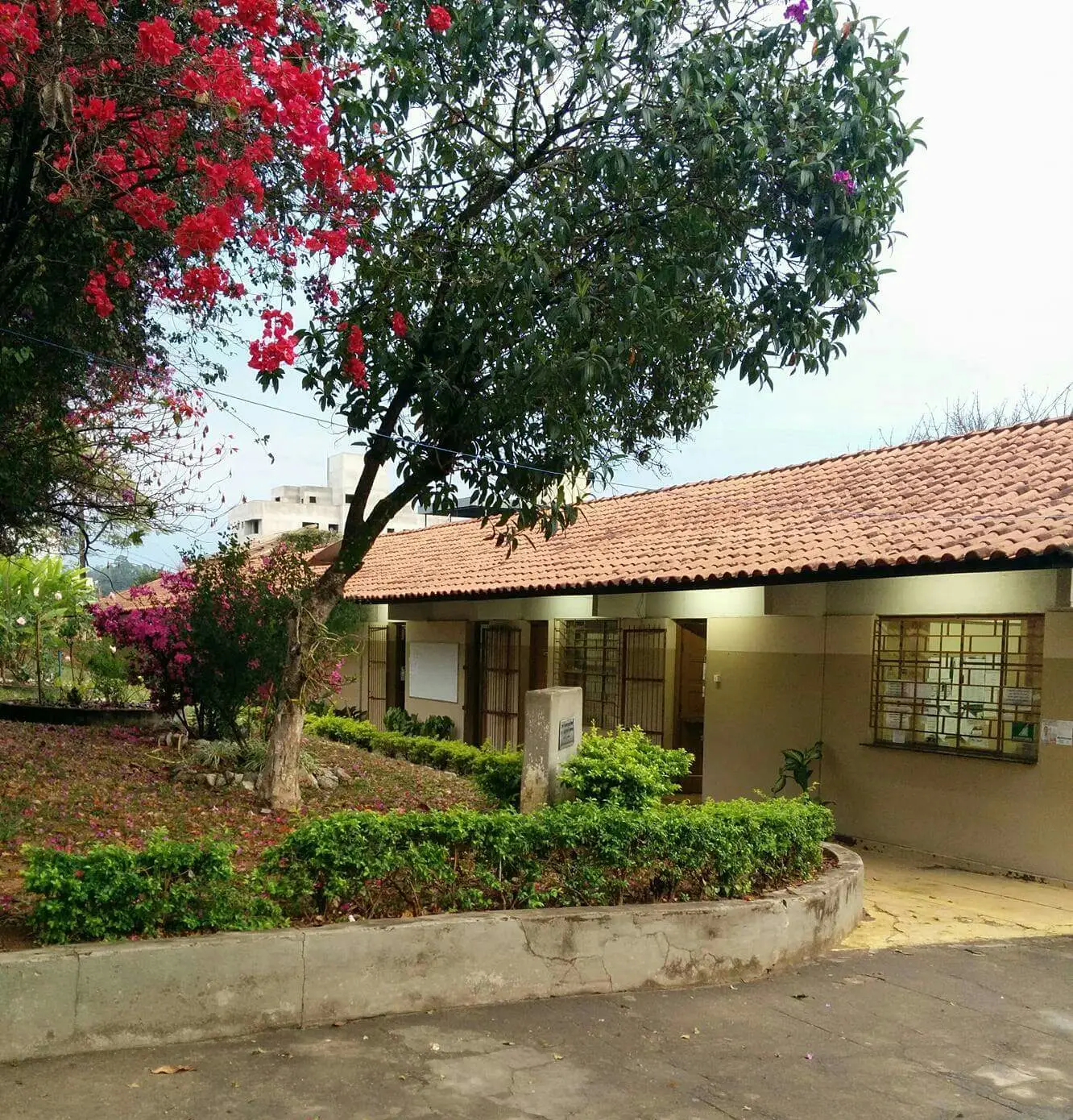 Aluno de 16 anos alega que relação com adolescente de 12 foi consensual