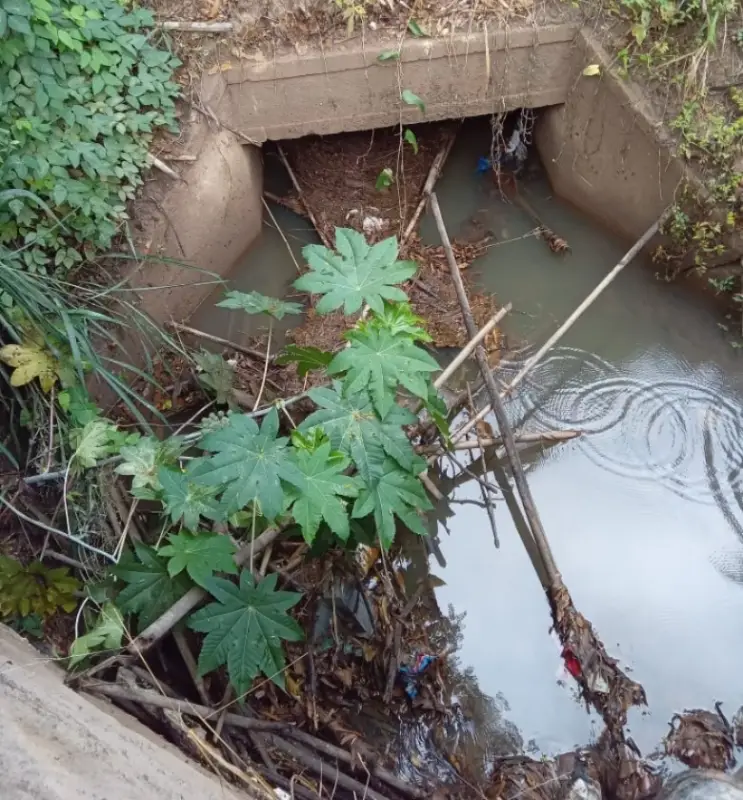 Limpeza de manilhas, córregos e bueiros é reforçada em Divinópolis