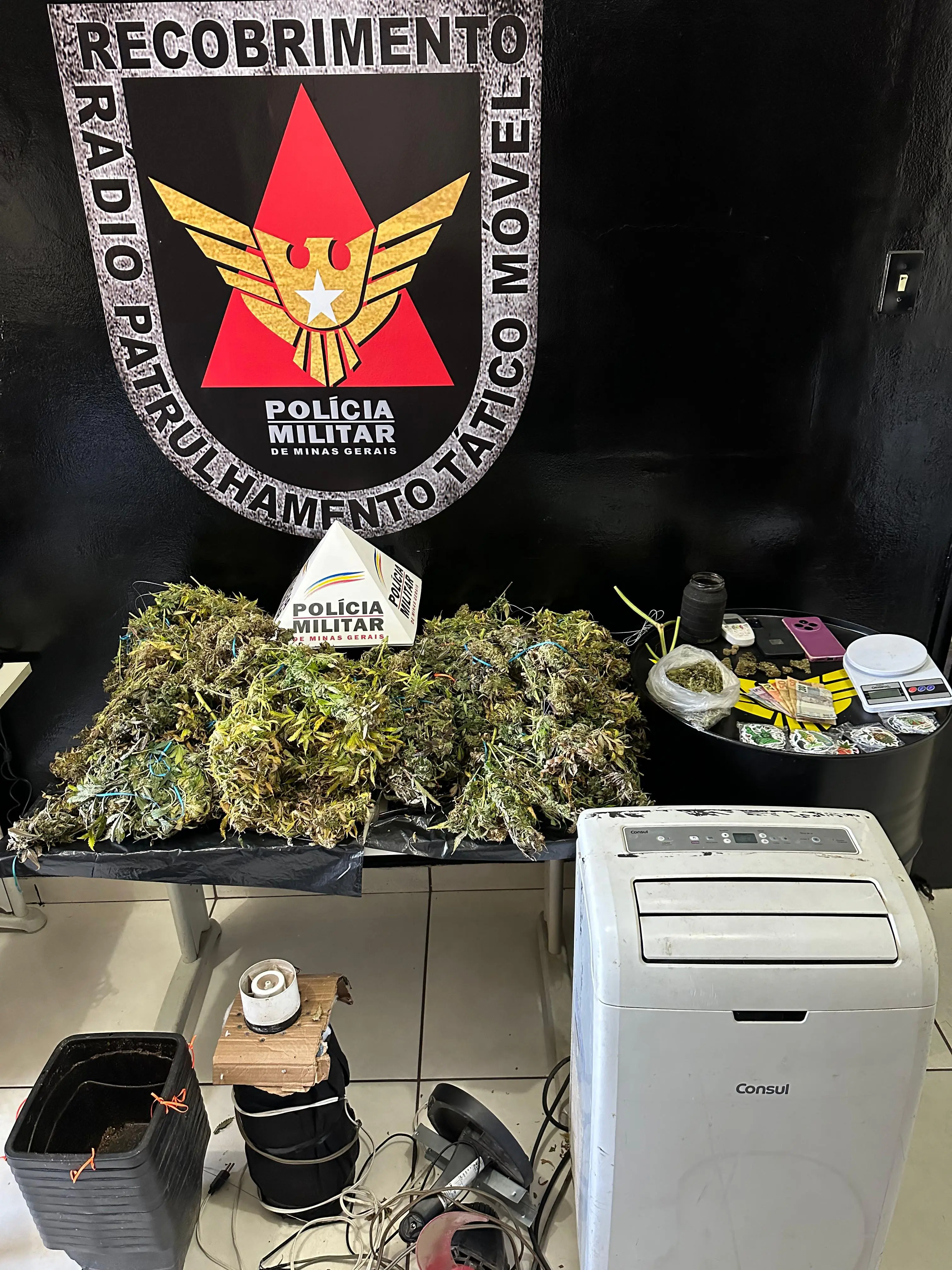 Polícia encontra laboratório de maconha no Povoado da Matinha de Pará de Minas