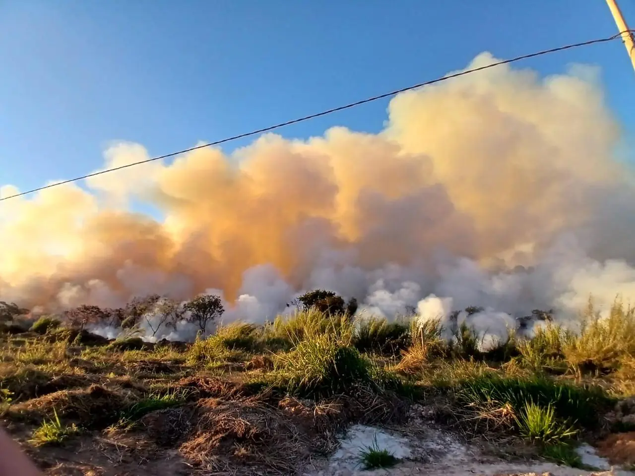 Incêndio de grandes proporções devasta área rural em Pará de Minas