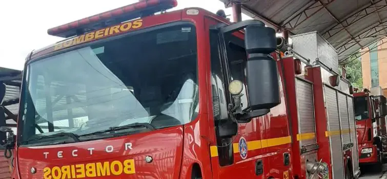 Homem morre afogado após ataque de enxame de abelhas em Divinópolis