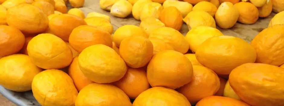Produtos do agro mineiro estão na maior feira da América do Sul